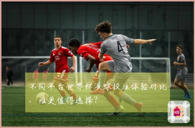 不同平台世界杯滚球投注体验对比，谁更值得选择？