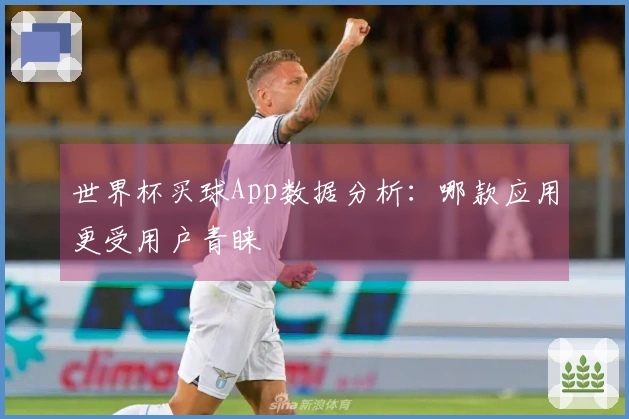 世界杯买球App数据分析：哪款应用更受用户青睐