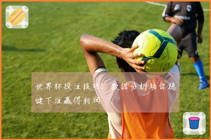 世界杯投注技巧：数据分析助你稳健下注赢得利润