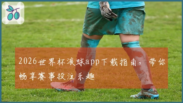 2026世界杯滚球app下载指南，带你畅享赛事投注乐趣
