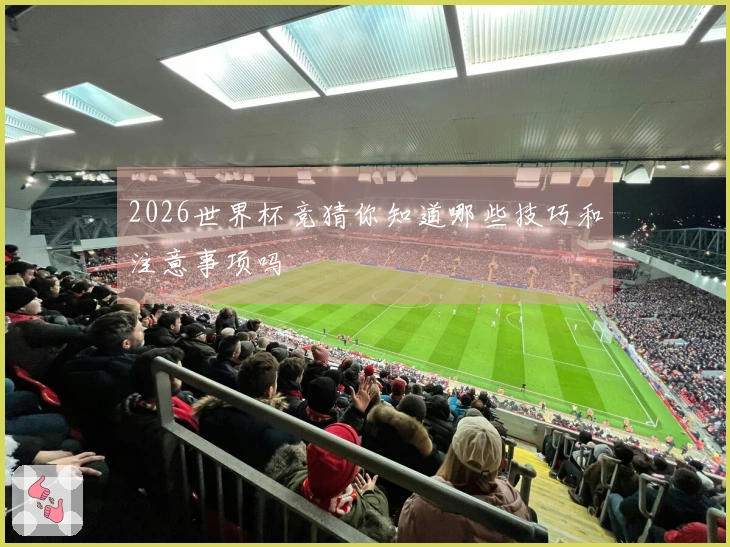 2026世界杯竞猜你知道哪些技巧和注意事项吗