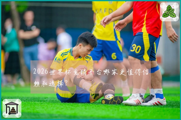 2026世界杯竞猜平台哪家更值得信赖和选择？