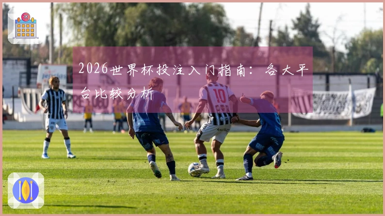 2026世界杯投注入门指南：各大平台比较分析