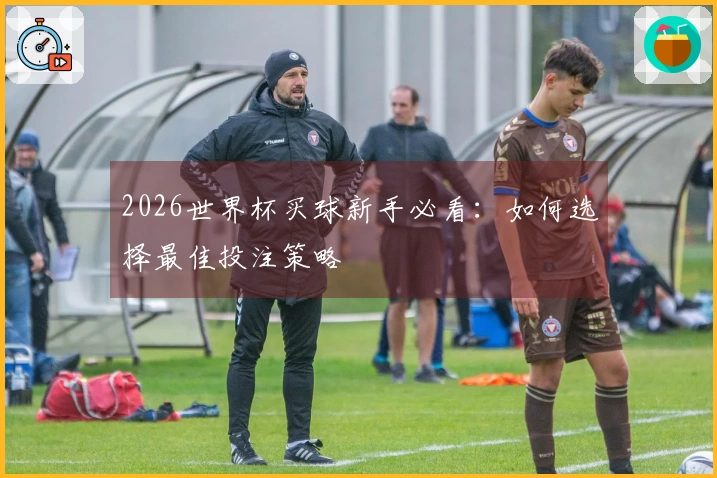 2026世界杯买球新手必看：如何选择最佳投注策略