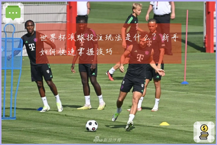 世界杯滚球投注玩法是什么？新手如何快速掌握技巧