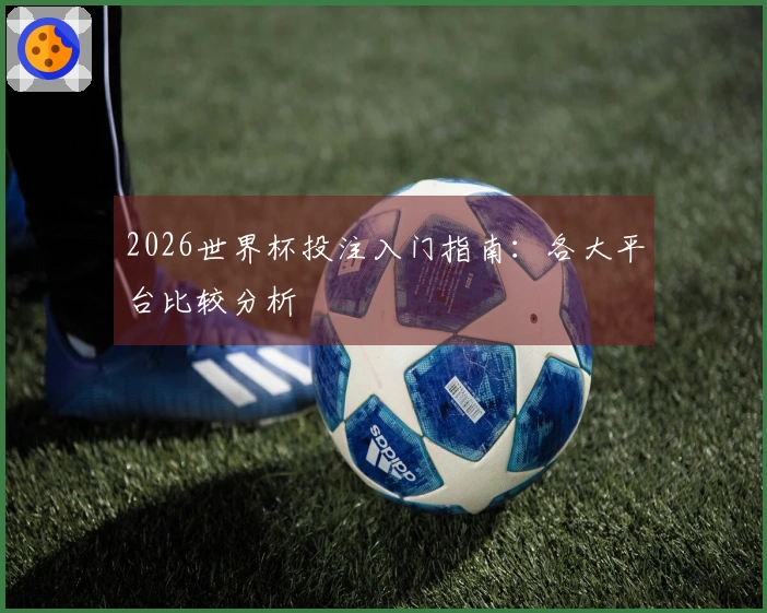 2026世界杯投注入门指南：各大平台比较分析