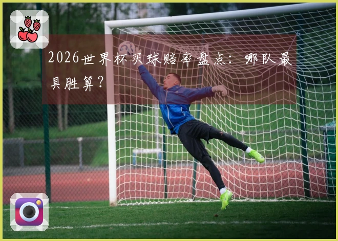 2026世界杯买球赔率盘点：哪队最具胜算？