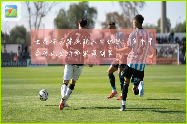 世界杯买球竞猜入口优选：多个平台对比分析哪家最划算