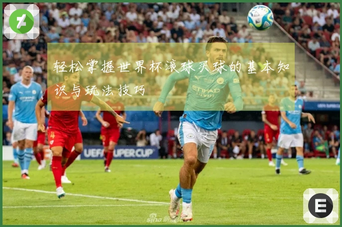 轻松掌握世界杯滚球买球的基本知识与玩法技巧