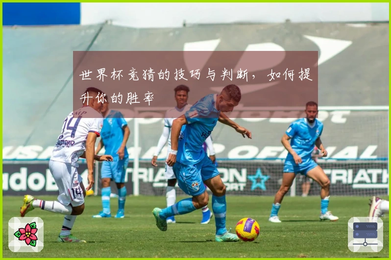 世界杯竞猜的技巧与判断，如何提升你的胜率