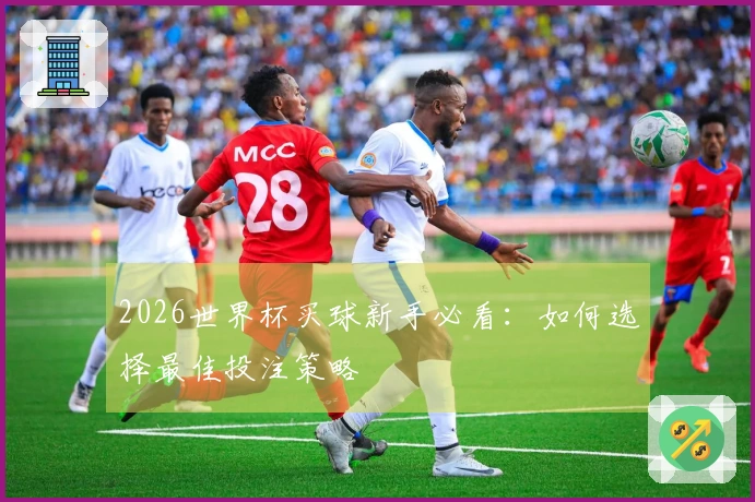 2026世界杯买球新手必看：如何选择最佳投注策略