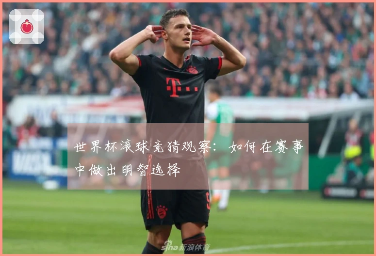世界杯滚球竞猜观察：如何在赛事中做出明智选择