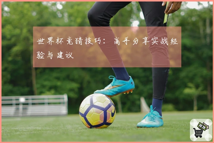 世界杯竞猜技巧：高手分享实战经验与建议