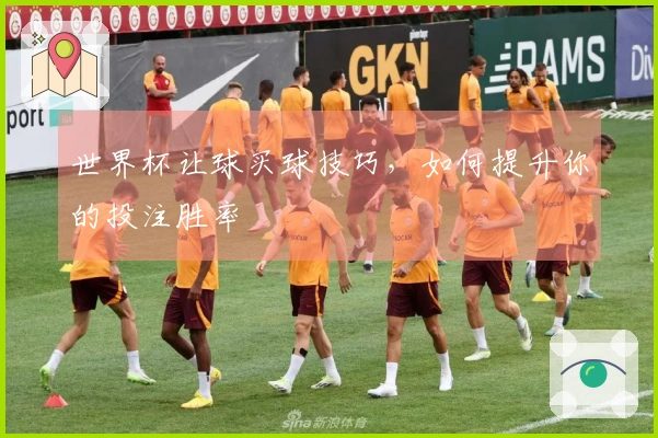 世界杯让球买球技巧，如何提升你的投注胜率
